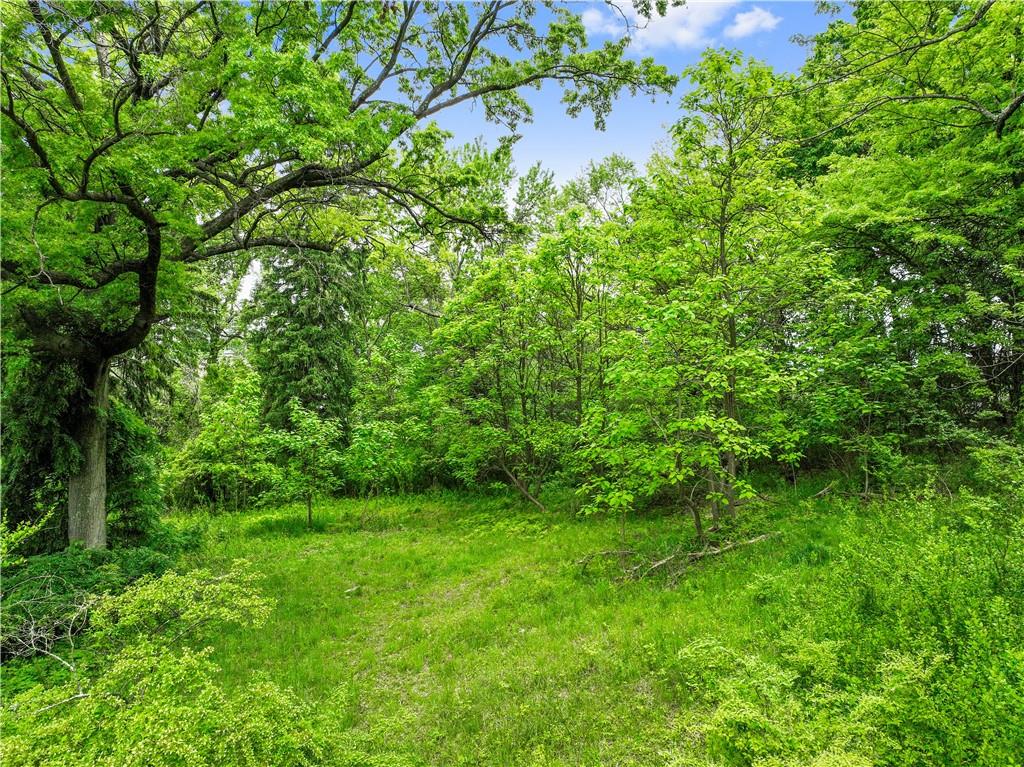 1261 Hamilton Road Pittsburgh, PA 15234 - Photo 6 of 17 a view of a lush green forest with lots of trees