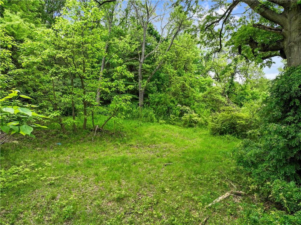 1261 Hamilton Road Pittsburgh, PA 15234 - Photo 7 of 17 a view of a lush green forest