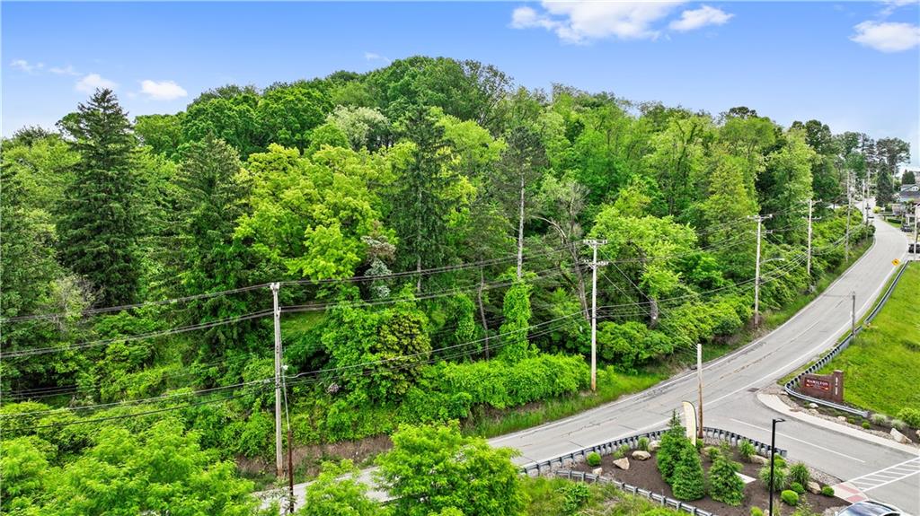 1261 Hamilton Road Pittsburgh, PA 15234 - Photo 8 of 17 a view of a garden