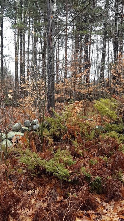 0 Gray Road North Yarmouth, ME 04097 - Photo 3 of 7 Photo