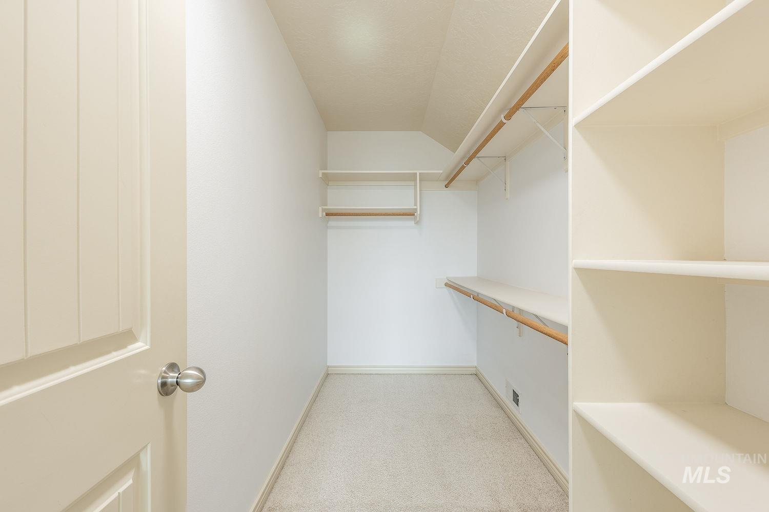 4227 North Rhodes Avenue Meridian, ID 83646 - Photo 36 of 42 Walk in closet featuring light carpet