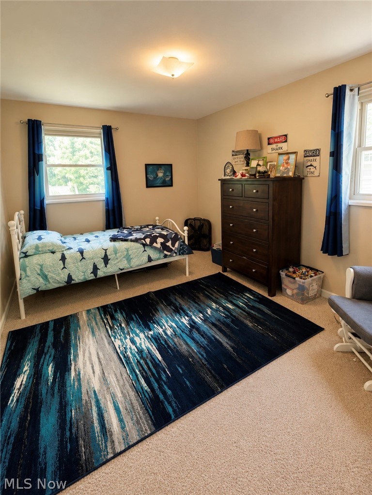 2068 Green Road Madison, OH 44057 - Photo 18 of 31