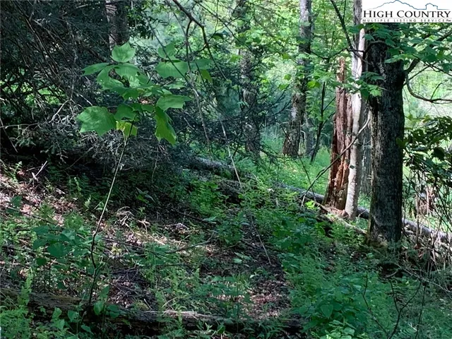a view of an outdoor space with a tree