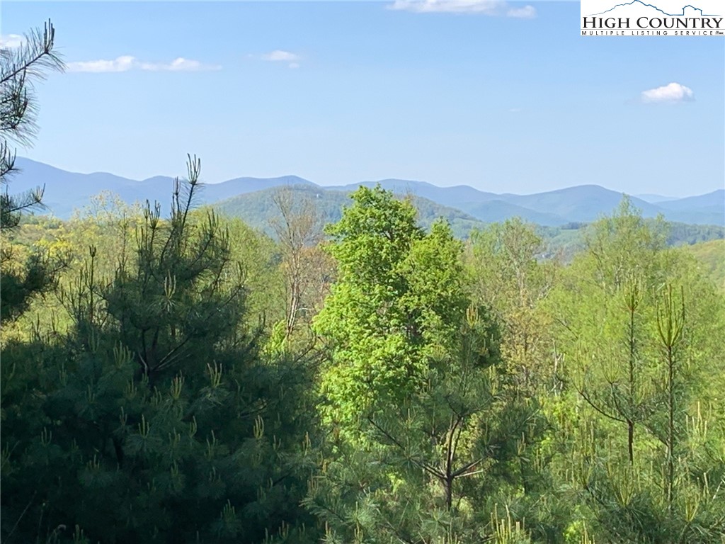 Lot 11 Wapiti Way Boone, NC 28607 - Photo 4 of 12 a view of a city
