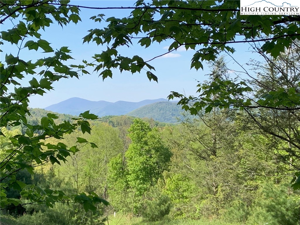 Lot 11 Wapiti Way Boone, NC 28607 - Photo 5 of 12