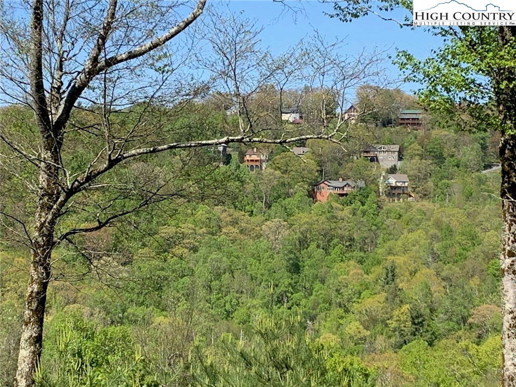 Lot 11 Wapiti Way Boone, NC 28607 - Photo 7 of 12 a backyard of a house with lots of green space