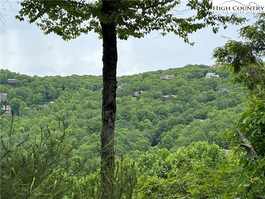 Lot 11 Wapiti Way Boone, NC 28607 - Photo 8 of 12 a view of a forest with a tree