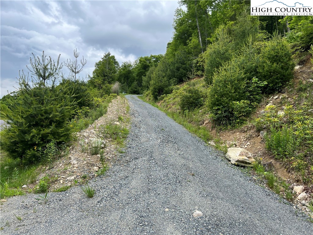 Lot 11 Wapiti Way Boone, NC 28607 - Photo 9 of 12 a view of a pathway with a tree