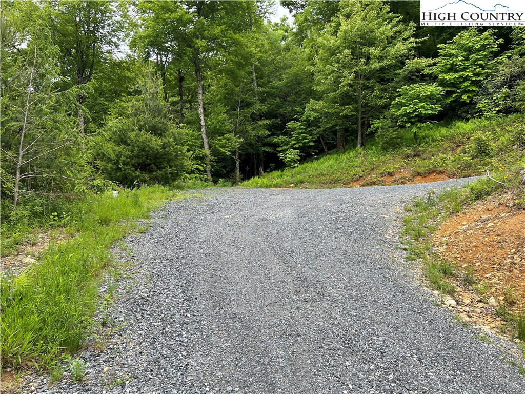 Lot 11 Wapiti Way Boone, NC 28607 - Photo 10 of 12 a view of a yard with plants and large trees