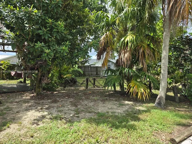 a view of a yard with plants and trees