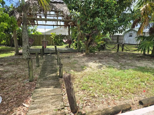 a view of a yard with plants and large trees