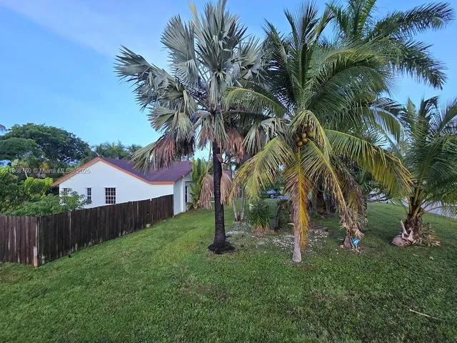a view of a yard with a plants and palm trees