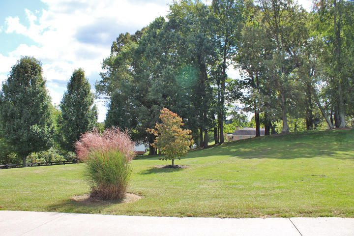 951 Thurman Road Somerset, KY 42503 - Photo 53 of 118 IMG_4931