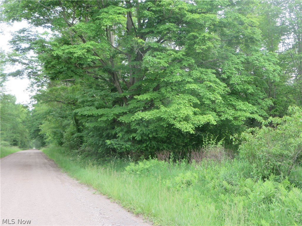 Vl Vl Calhoun & State Line Road Conneaut, OH 44030 - Photo 12 of 14 Gallery Image 12
