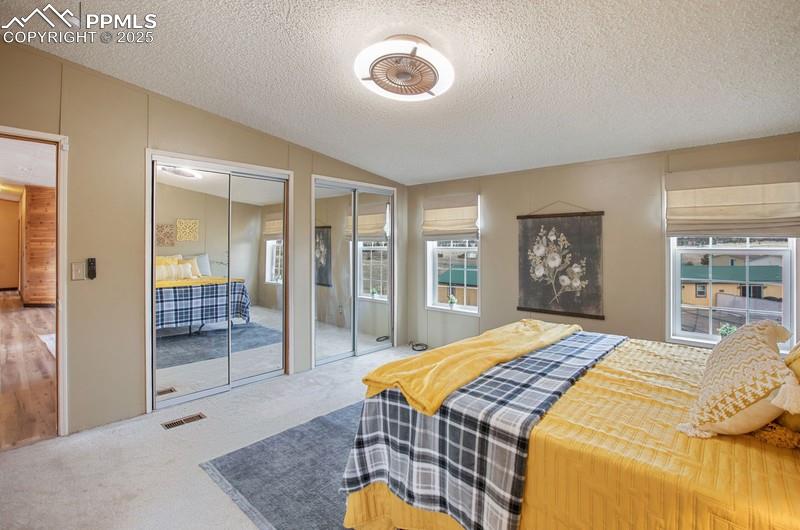 338 Doublet Lane Divide, CO 80814 - Photo 19 of 31 a bedroom with a bed and glass door