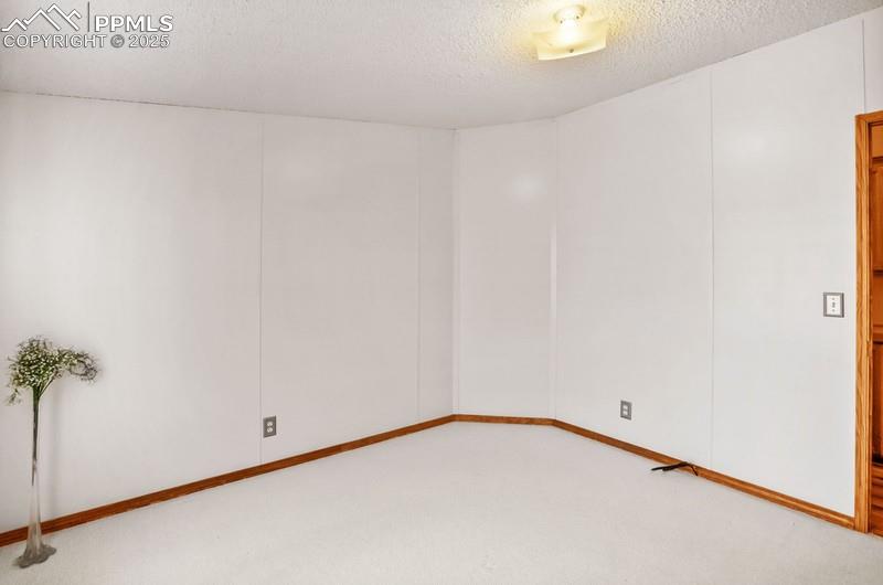 338 Doublet Lane Divide, CO 80814 - Photo 24 of 31 a view of an empty room