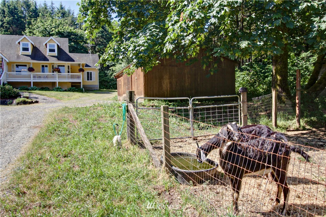 11125 Clark Road Southeast Yelm, WA 98597 - Photo 25 of 25 Gallery Image 25