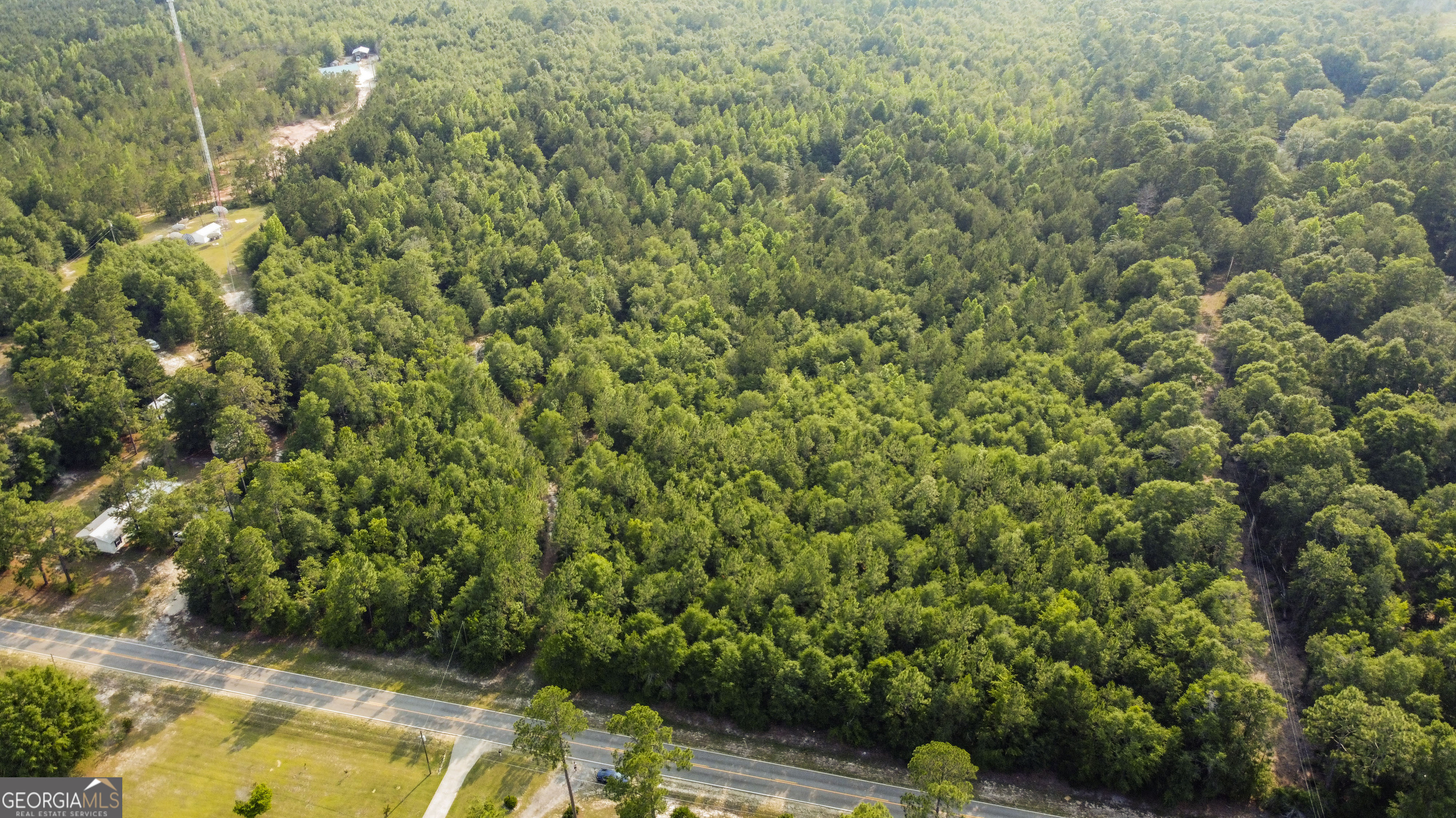 0 Halcyondale Road Sylvania, GA 30467 - Photo 11 of 14 a view of a yard with plants and large trees