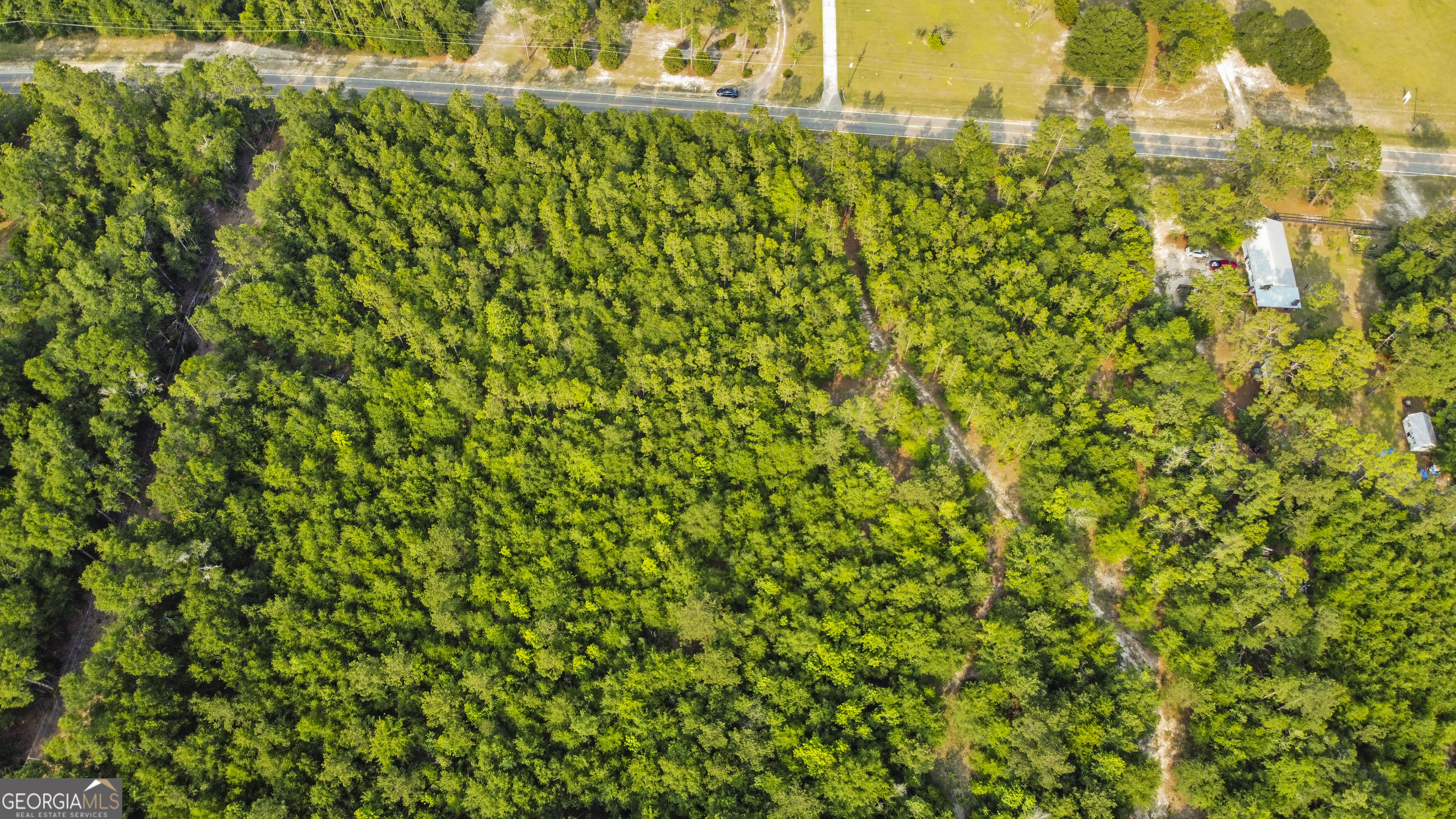 0 Halcyondale Road Sylvania, GA 30467 - Photo 2 of 14 a view of a large yard with plants and large trees