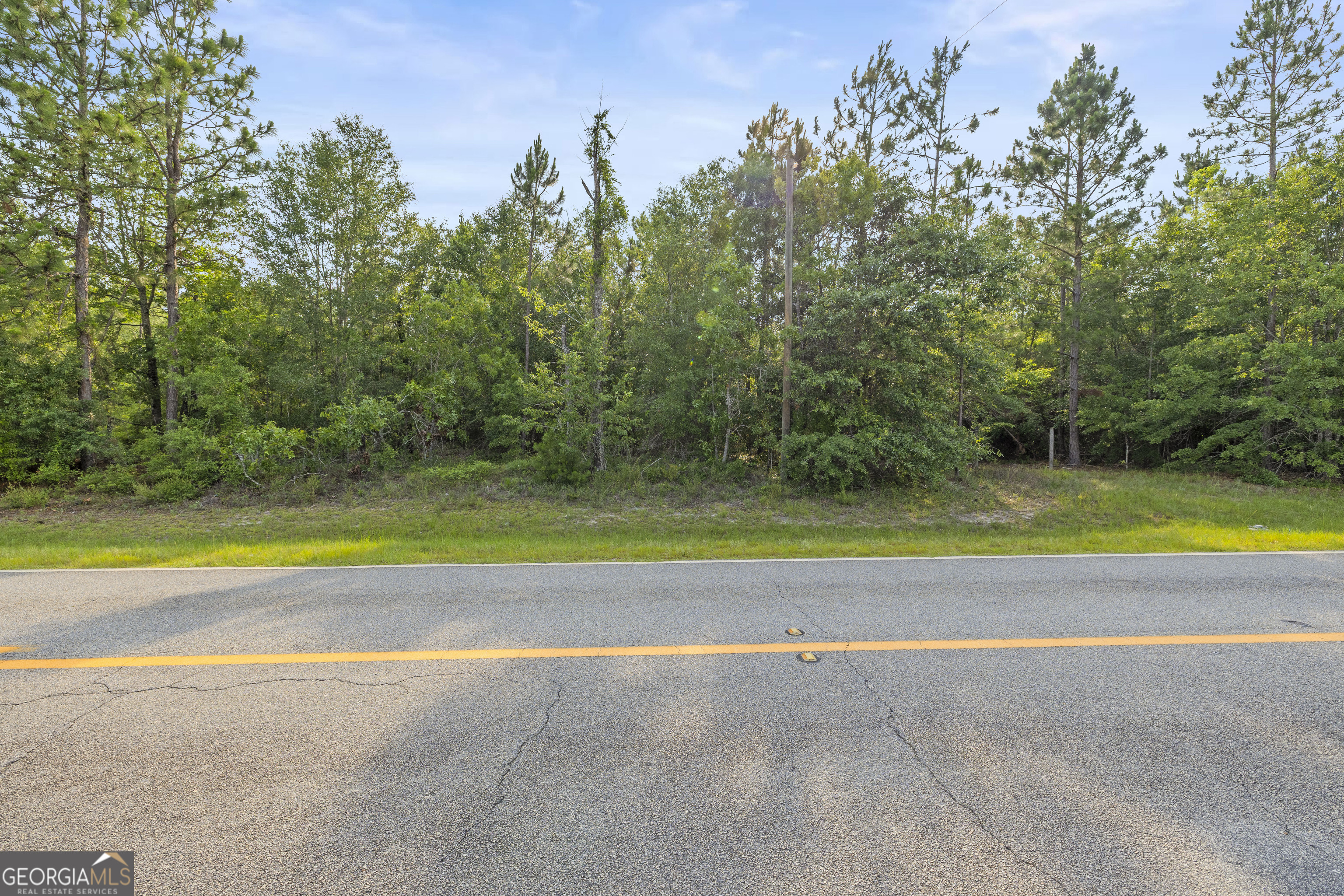 0 Halcyondale Road Sylvania, GA 30467 - Photo 5 of 14 a view of a swimming pool and an outdoor space