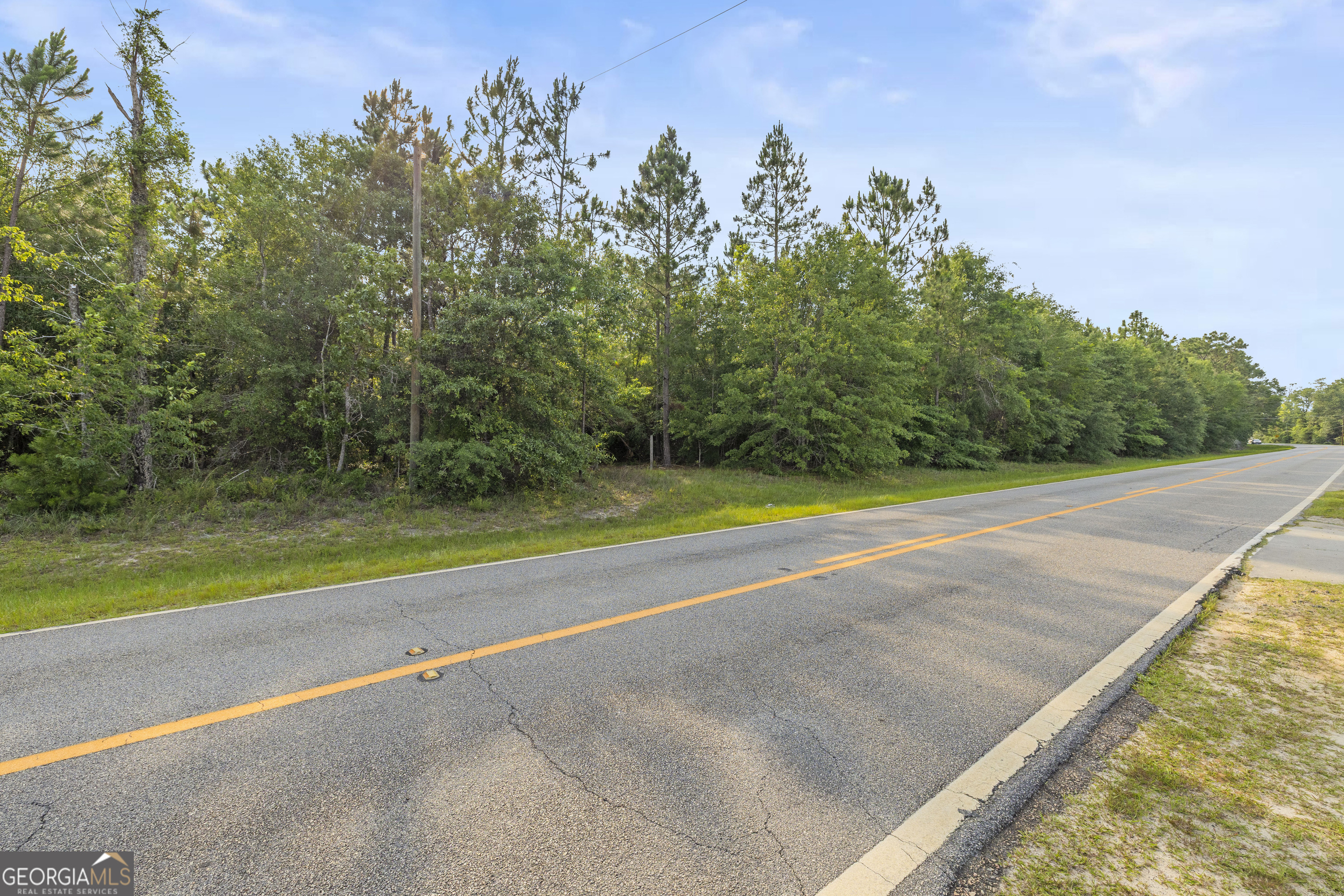 0 Halcyondale Road Sylvania, GA 30467 - Photo 7 of 14 a view of a big yard with large trees
