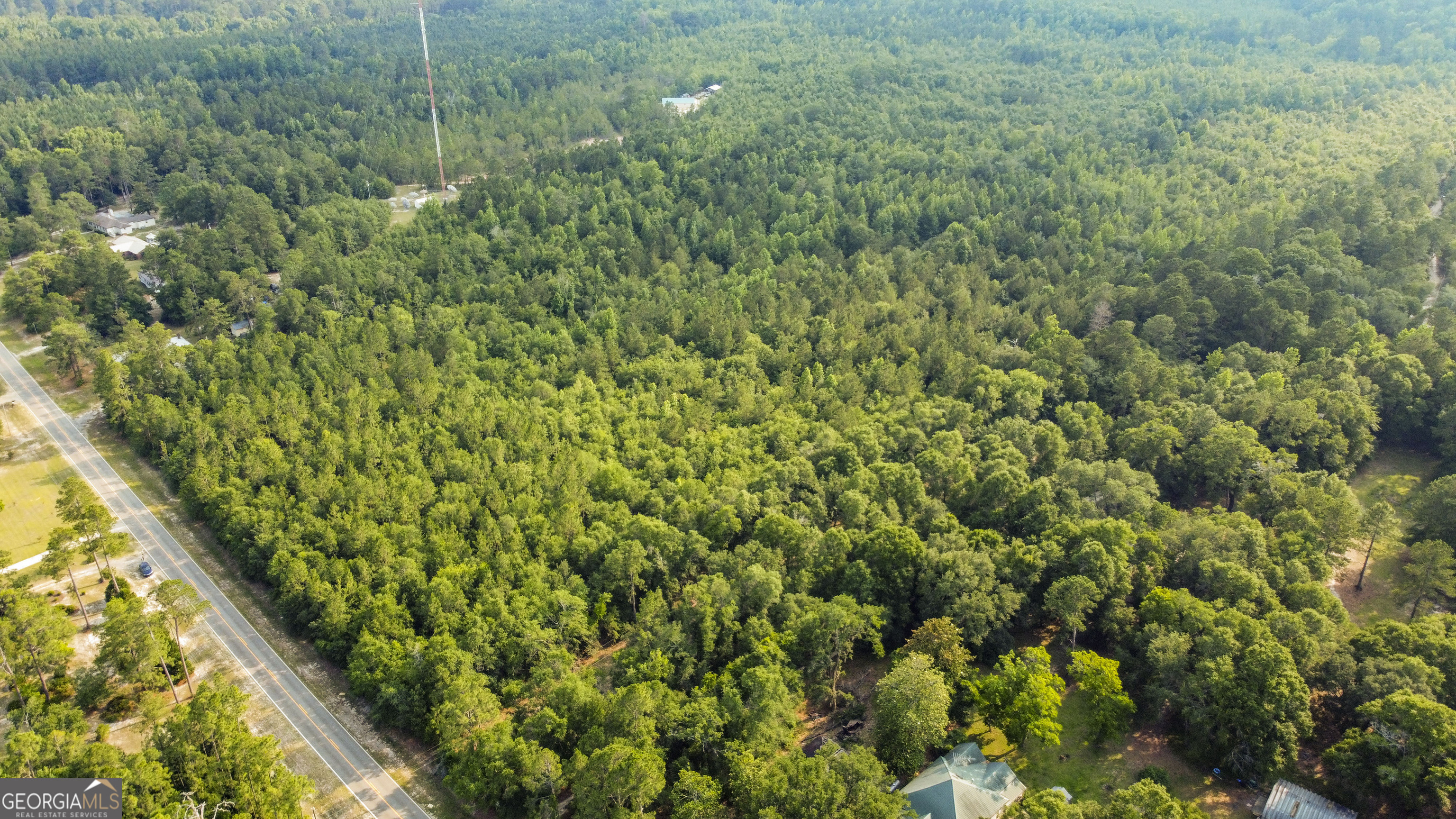 0 Halcyondale Road Sylvania, GA 30467 - Photo 8 of 14 a view of a lush green forest