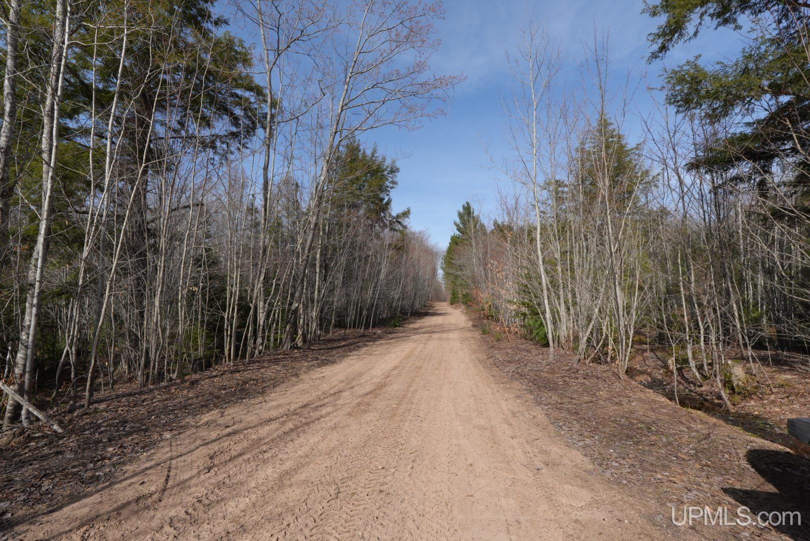 12451 15.5 Road Wetmore, MI 49878 - Photo 10 of 30