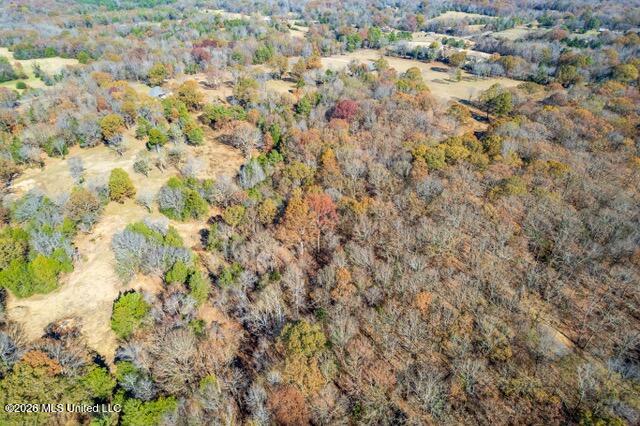 Brewer Road Batesville, MS 38606 - Photo 11 of 42 Brewer Road Lots 1-3-5-8_2023-11-27_17