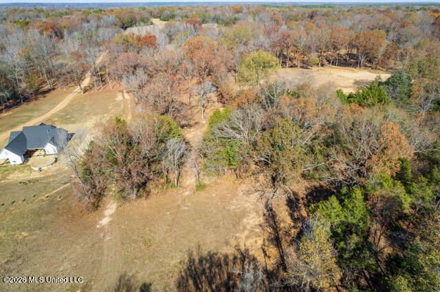Brewer Road Batesville, MS 38606 - Photo 20 of 42 Brewer Road Lots 1-3-5-8_2023-11-27_32