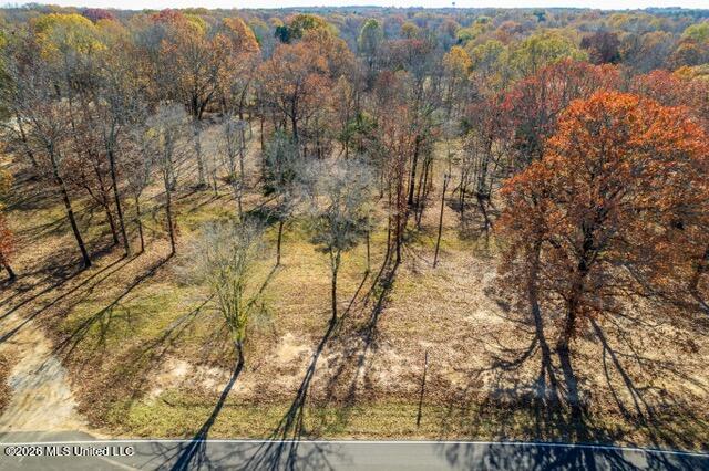 Brewer Road Batesville, MS 38606 - Photo 24 of 42 Brewer Road Lots 1-3-5-8_2023-11-27_38