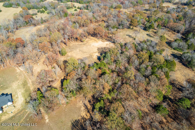 Brewer Road Batesville, MS 38606 - Photo 29 of 42 Brewer Road Lots 1-3-5-8_2023-11-27_09
