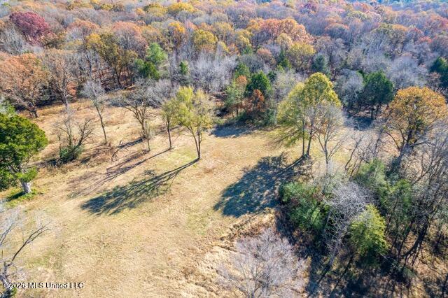 Brewer Road Batesville, MS 38606 - Photo 38 of 42 Brewer Road Lots 1-3-5-8_2023-11-27_30