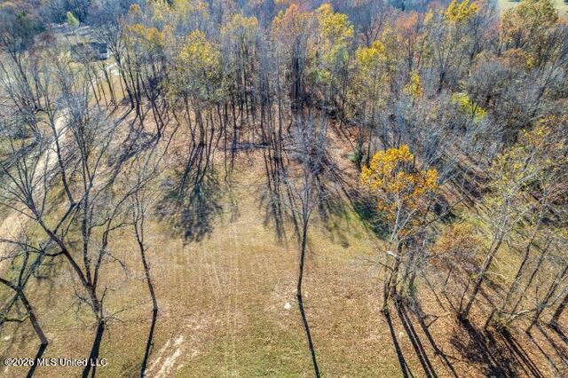 Brewer Road Batesville, MS 38606 - Photo 40 of 42 Brewer Road Lots 1-3-5-8_2023-11-27_35
