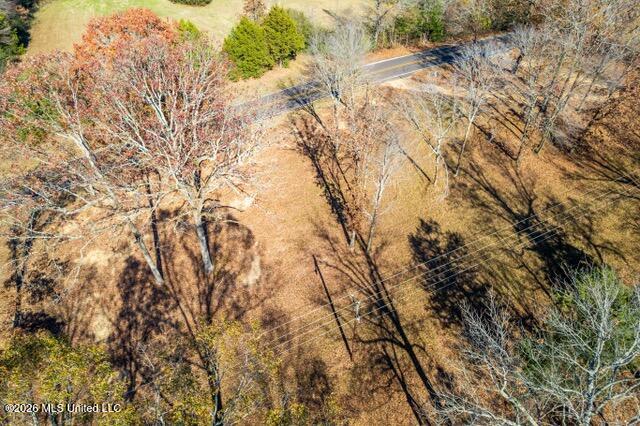 Brewer Road Batesville, MS 38606 - Photo 41 of 42 Brewer Road Lots 1-3-5-8_2023-11-27_39