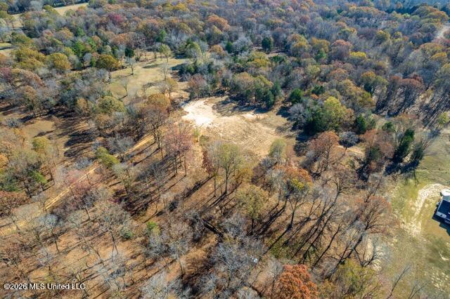 Brewer Road Batesville, MS 38606 - Photo 8 of 42 Brewer Road Lots 1-3-5-8_2023-11-27_12
