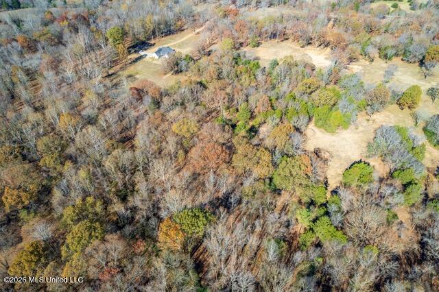 Brewer Road Batesville, MS 38606 - Photo 10 of 42 Brewer Road Lots 1-3-5-8_2023-11-27_16