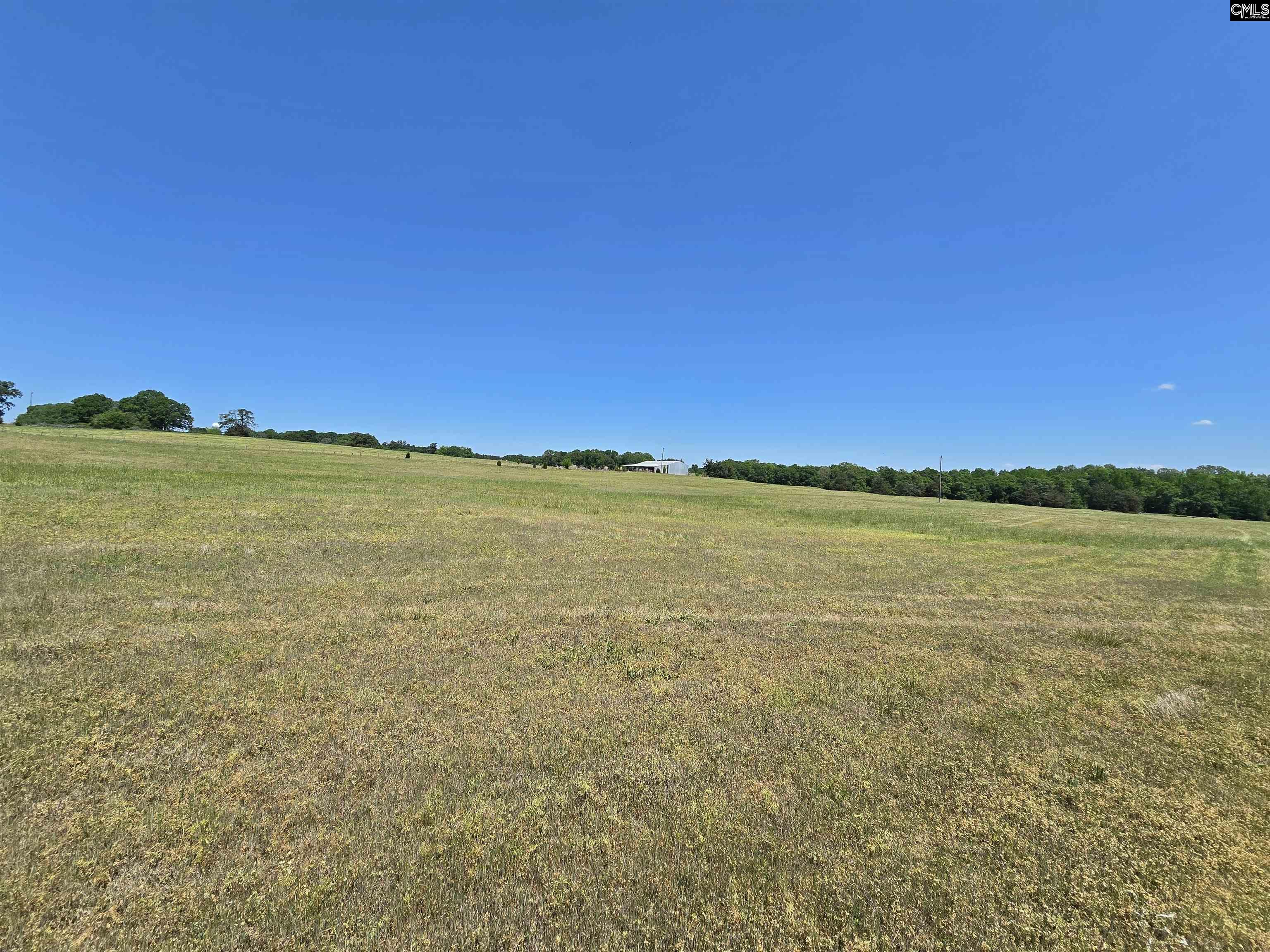 542 Pea Ridge Highway Jonesville, SC 29353 - Photo 39 of 72