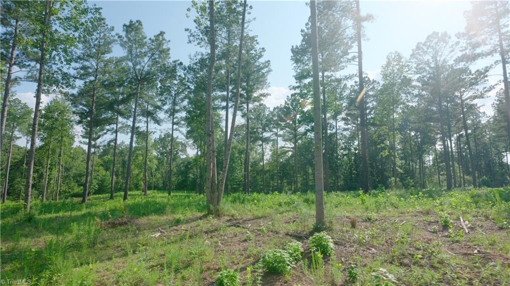 5 Carson Road Cleveland, NC 27013 - Photo 11 of 22