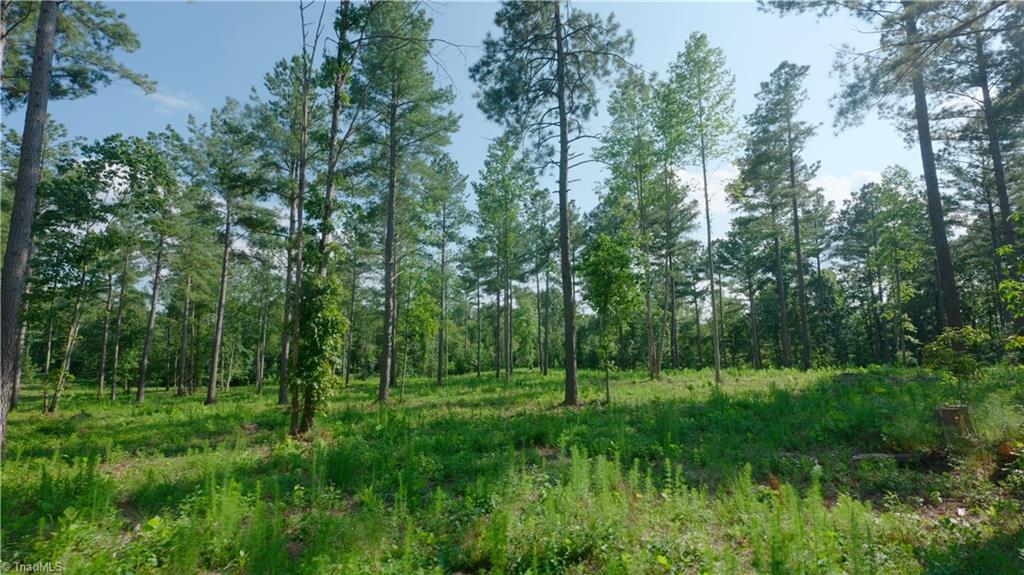 5 Carson Road Cleveland, NC 27013 - Photo 5 of 22