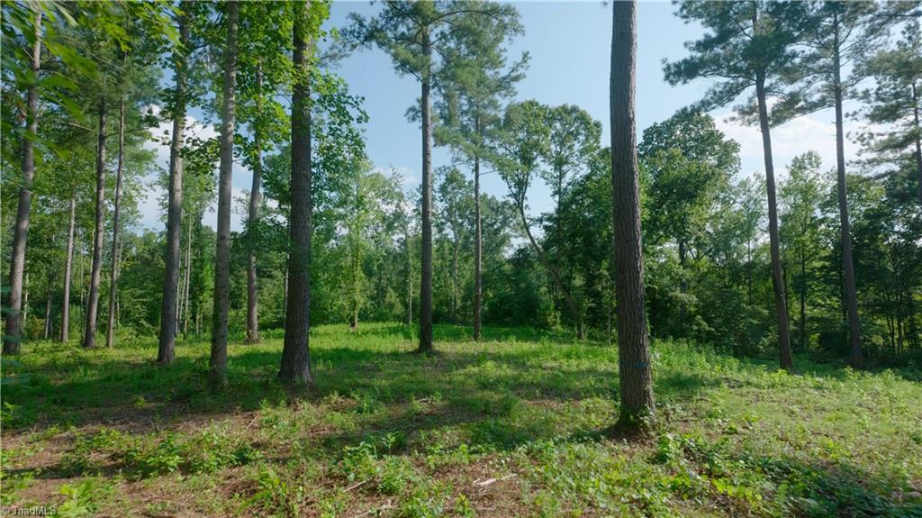 5 Carson Road Cleveland, NC 27013 - Photo 9 of 22