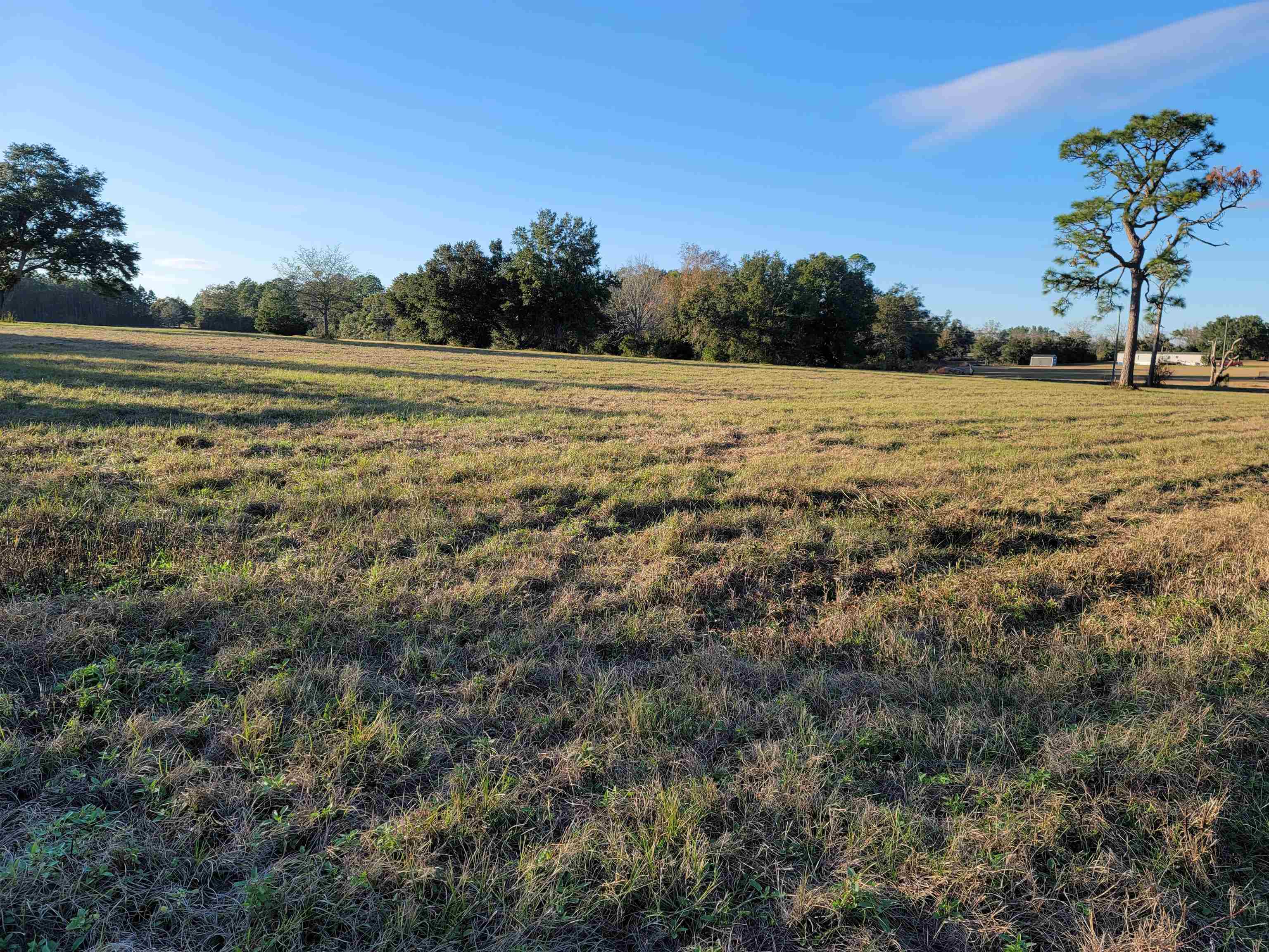 10341 County Road 91 Lillian, AL 36549 - Photo 6 of 7