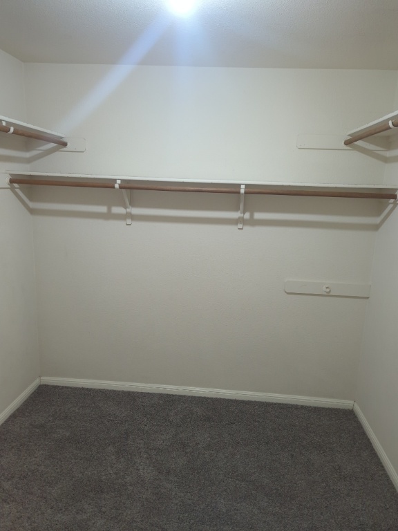 305 Avalanche Avenue Georgetown, TX 78626 - Photo 17 of 22 a view of small space