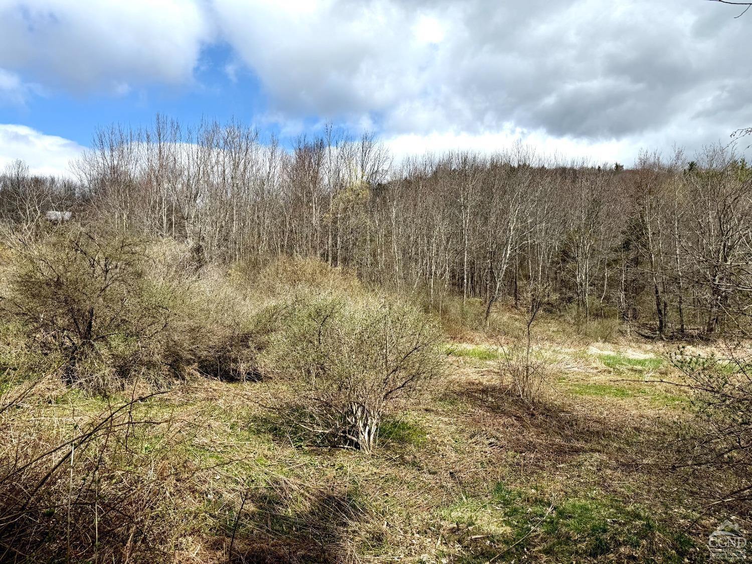 0 Charles Dent Road Prattsville, NY 12468 - Photo 15 of 21 a view of a yard