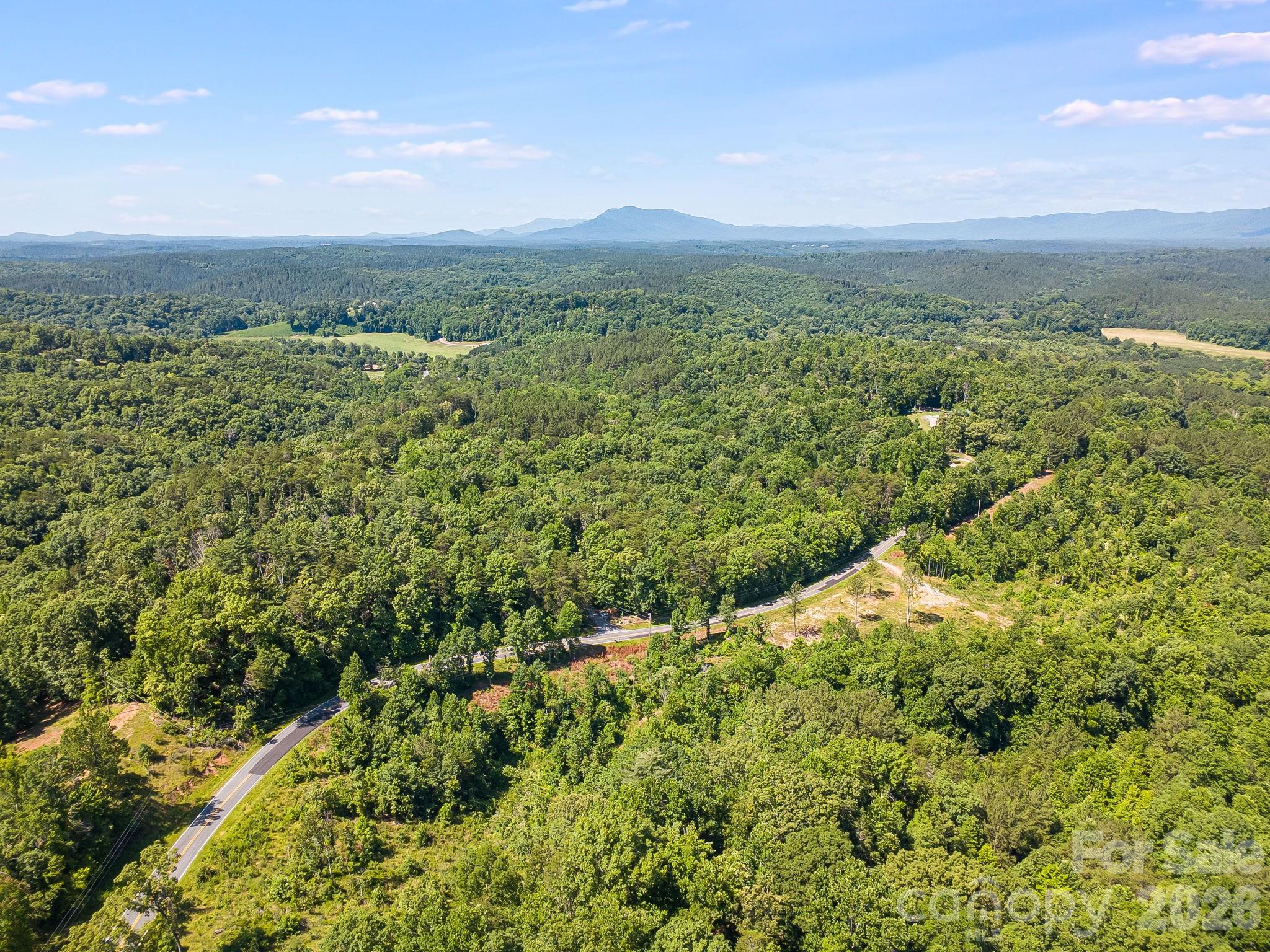 Lot #2 Clark Road Rutherfordton, NC 28139 - Photo 27 of 36