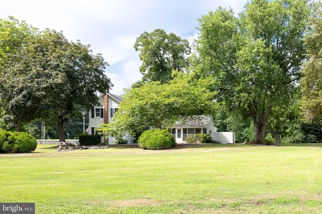 a view of a tree with an outdoor space