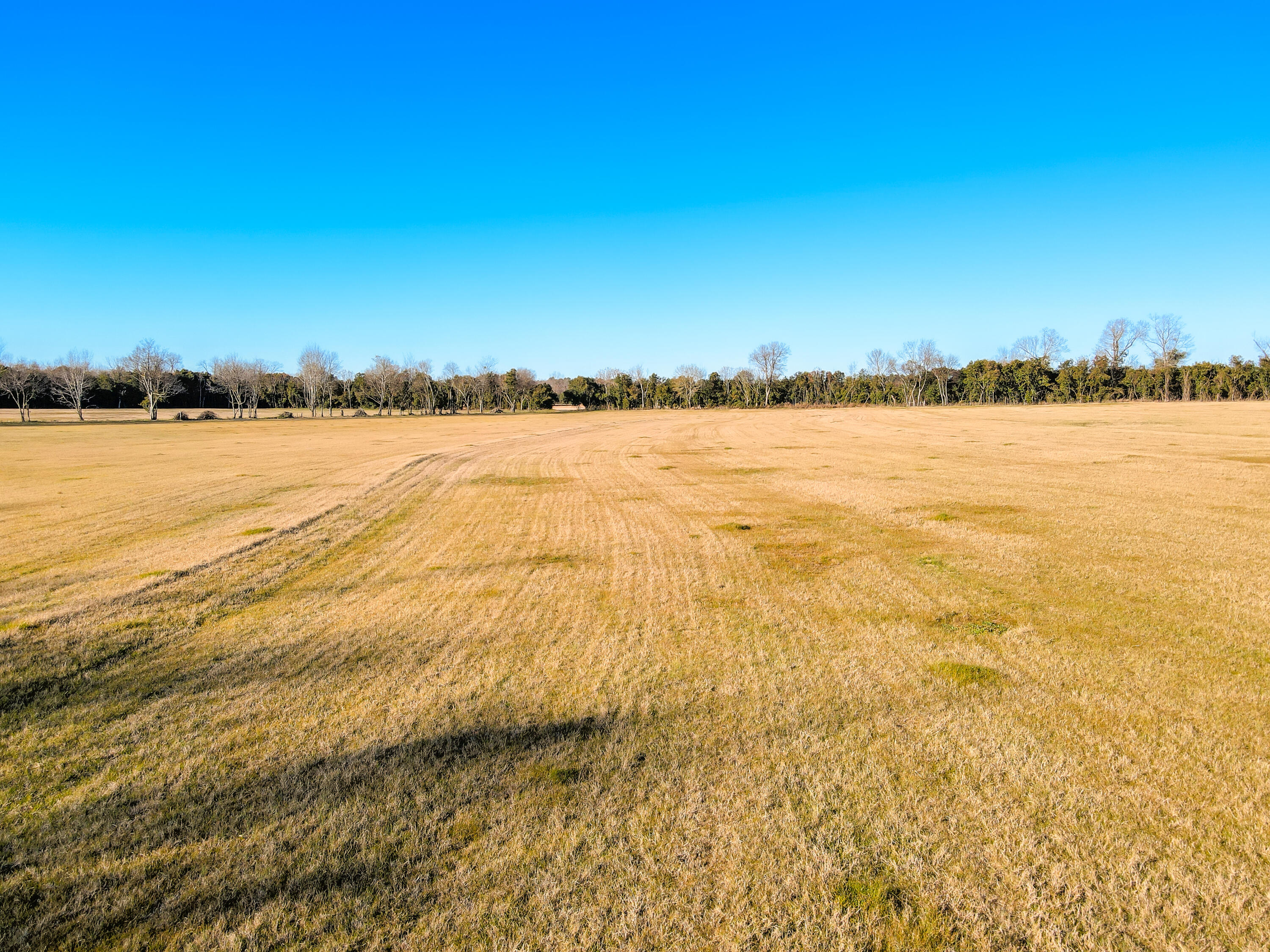 10.80-acres Williston Road Beech Island, SC 29842 - Photo 16 of 16