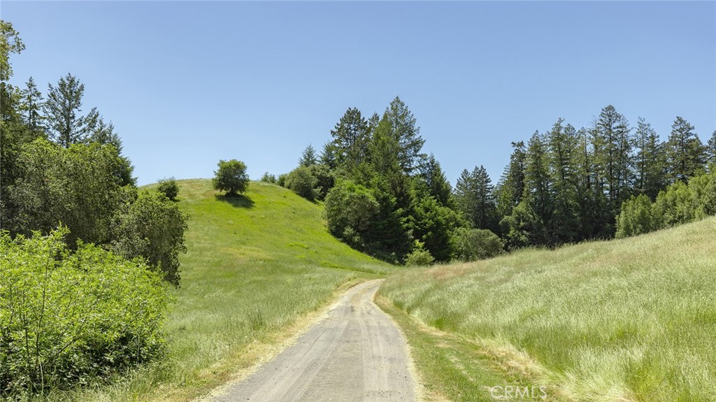 12760 Green Valley Road Sebastopol, CA 95472 - Photo 12 of 35 a view of a yard