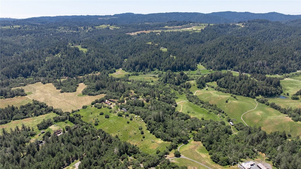 12760 Green Valley Road Sebastopol, CA 95472 - Photo 15 of 35 a view of a lush green hillside and houses