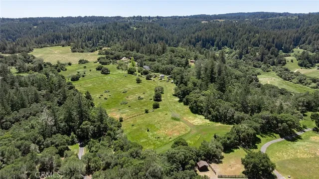 a view of a lush green forest with trees