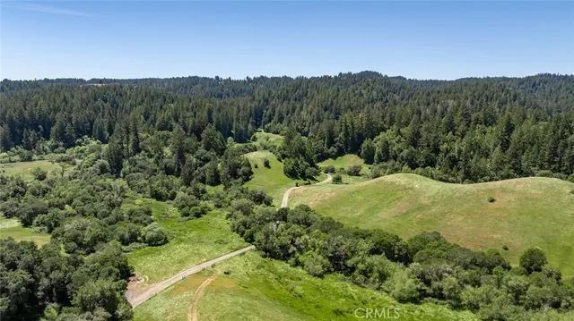 a view of a forest with a street